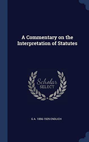 Stock image for A Commentary on the Interpretation of Statutes for sale by Mispah books