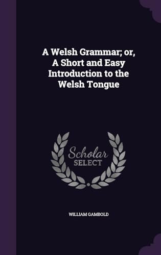 9781341173271: A Welsh Grammar; or, A Short and Easy Introduction to the Welsh Tongue
