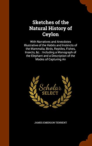 9781345913798: Sketches of the Natural History of Ceylon: With Narratives and Anecdotes Illustrative of the Habits and Instincts of the Mammalia, Birds, Reptiles, ... a Description of the Modes of Capturing An