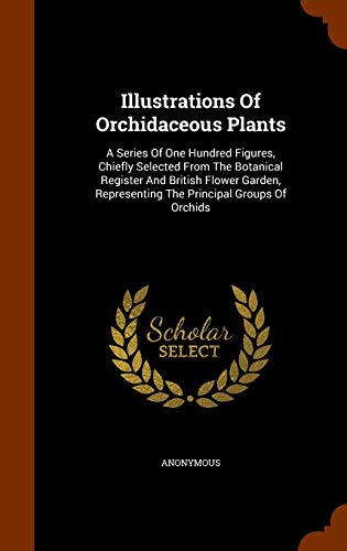 9781346161969: Illustrations Of Orchidaceous Plants: A Series Of One Hundred Figures, Chiefly Selected From The Botanical Register And British Flower Garden, Representing The Principal Groups Of Orchids