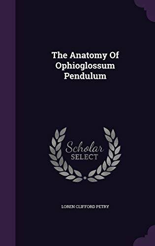 9781346992365: The Anatomy Of Ophioglossum Pendulum