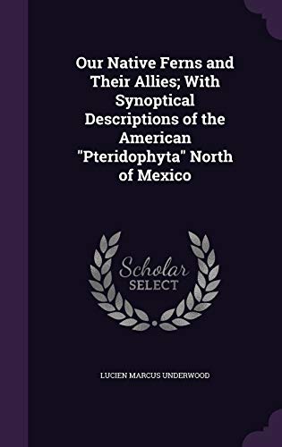 9781347372746: Our Native Ferns and Their Allies; With Synoptical Descriptions of the American Pteridophyta North of Mexico