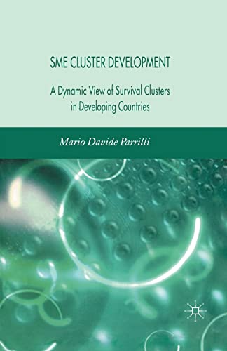 9781349283606: SME Cluster Development: A Dynamic View of Survival Clusters in Developing Countries