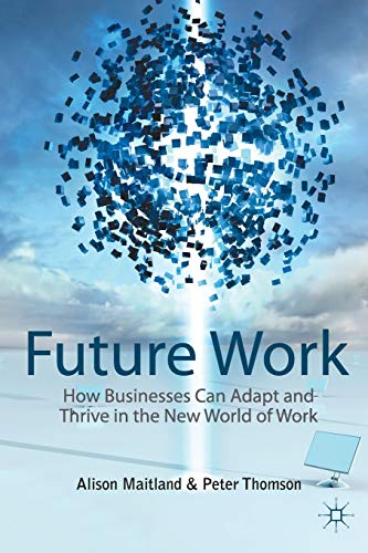 9781349329373: Future Work: How Businesses Can Adapt and Thrive In The New World Of Work