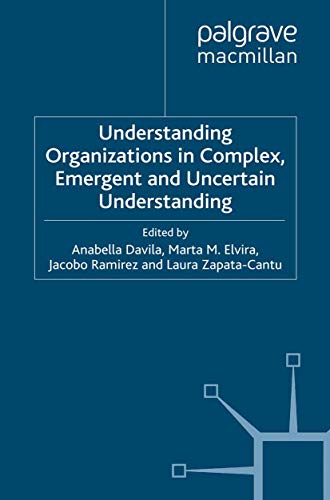9781349331208: Understanding Organizations in Complex, Emergent and Uncertain Environments