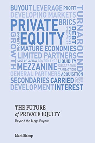 9781349346752: The Future of Private Equity: Beyond the Mega Buyout