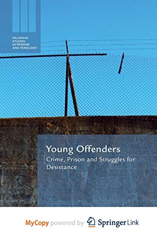 9781349489206: Young Offenders: Crime, Prison and Struggles for Desistance