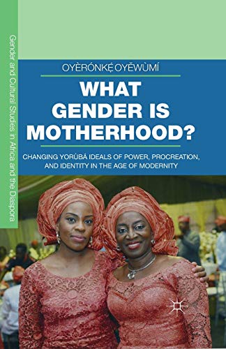 Beispielbild für What Gender is Motherhood? : Changing Yorùbá Ideals of Power, Procreation, and Identity in the Age of Modernity zum Verkauf von Blackwell's