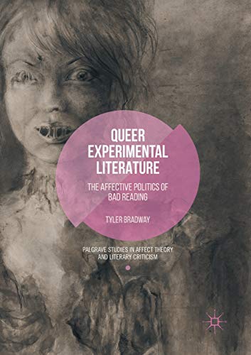 9781349955541: Queer Experimental Literature: The Affective Politics of Bad Reading (Palgrave Studies in Affect Theory and Literary Criticism)