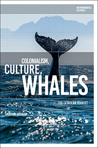 Imagen de archivo de Colonialism, Culture, Whales (Environmental Cultures) a la venta por Reuseabook