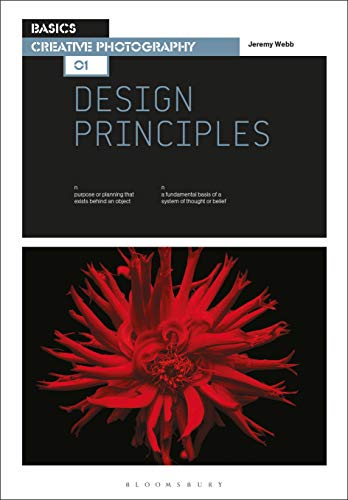Stock image for Basics Creative Photography 01: Design Principles for sale by Better World Books