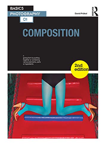 Stock image for Composition: 1 (Basics Photography) for sale by Books From California