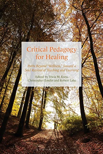 Imagen de archivo de Critical Pedagogy for Healing: Paths Beyond "Wellness," Toward a Soul Revival of Teaching and Learning a la venta por PAPER CAVALIER US