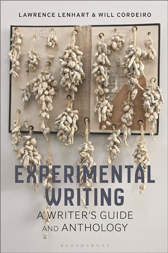 Stock image for Experimental Writing: A Writer's Guide and Anthology for sale by Revaluation Books