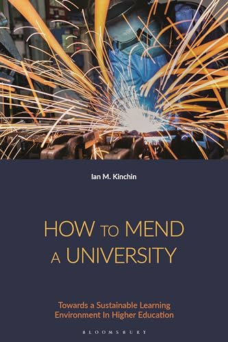 Imagen de archivo de How to Mend a University: Towards a Sustainable Learning Environment In Higher Education a la venta por THE SAINT BOOKSTORE