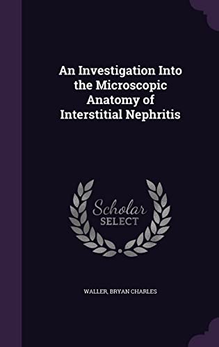 9781354273210: An Investigation Into the Microscopic Anatomy of Interstitial Nephritis