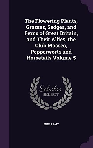 9781355214038: The Flowering Plants, Grasses, Sedges, and Ferns of Great Britain, and Their Allies, the Club Mosses, Pepperworts and Horsetails Volume 5