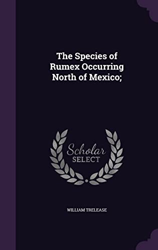 9781356175949: The Species of Rumex Occurring North of Mexico;
