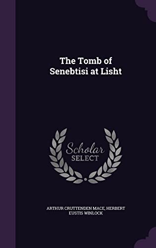 Beispielbild fr The Tomb of Senebtisi at Lisht zum Verkauf von Buchpark