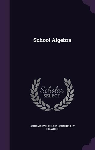 Stock image for School Algebra for sale by ALLBOOKS1