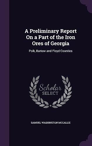 9781358078293: A Preliminary Report On a Part of the Iron Ores of Georgia: Polk, Bartow and Floyd Counties