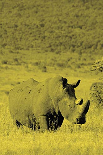 Stock image for Alive! white rhino - Yellow duotone - Photo Art Notebooks (6 x 9 version): by Photographer Eva-Lotta Jansson for sale by Chiron Media