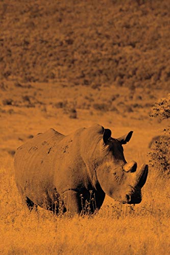 Stock image for Alive! white rhino - Sepia - Photo Art Notebooks (6 x 9 version): by Photographer Eva-Lotta Jansson for sale by Chiron Media