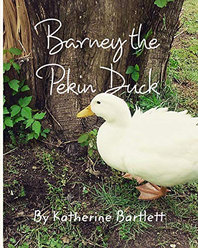 Beispielbild fr Barney the Pekin Duck: The Story of a Pekin Duck Who Grew Up in a House zum Verkauf von Buchpark
