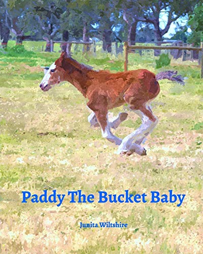 Imagen de archivo de Paddy The Bucket Baby a la venta por Chiron Media