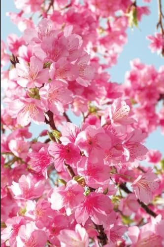 Stock image for Blood & Blossoms for sale by California Books