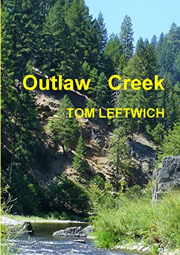 Imagen de archivo de Outlaw Creek a la venta por Lucky's Textbooks