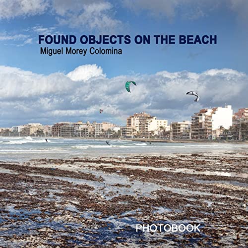 Imagen de archivo de Found objects on the beach a la venta por Lucky's Textbooks