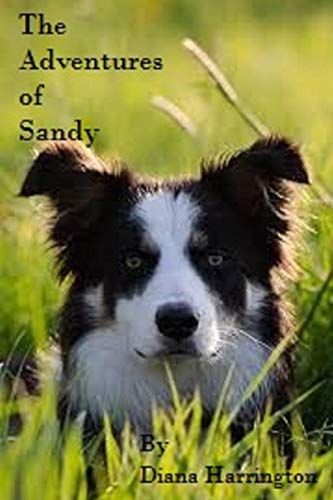 Beispielbild fr Adventures of Sandy, Part I zum Verkauf von Chiron Media