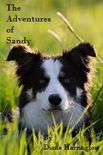 Stock image for Adventures of Sandy, Part I for sale by Chiron Media