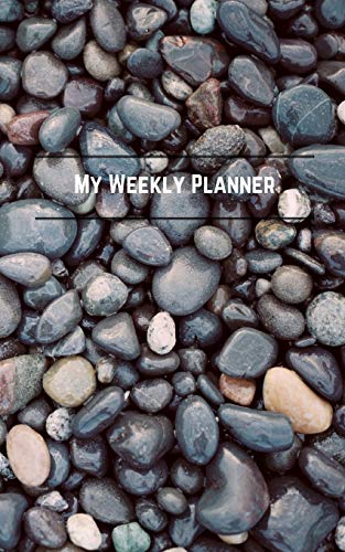 9781366641540: My Weekly Planner