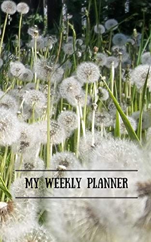 9781366641625: My Weekly Planner