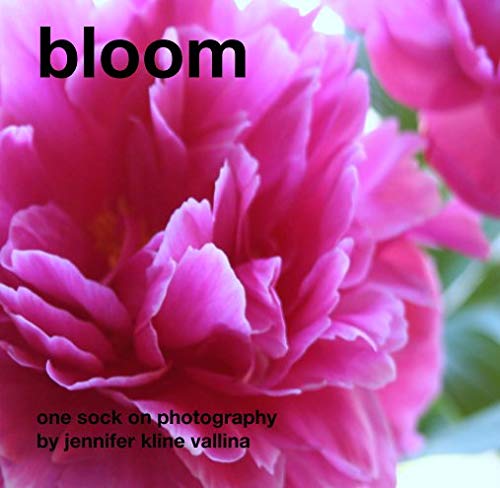9781367228177: bloom