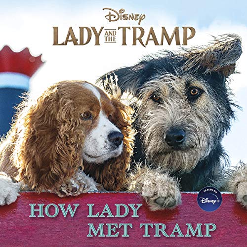Stock image for Lady and the Tramp: How Lady Met Tramp for sale by SecondSale