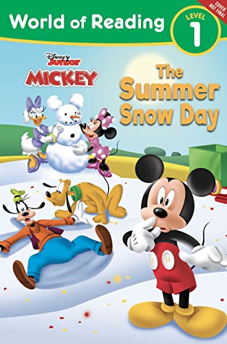Stock image for The Summer Snow Day for sale by Revaluation Books