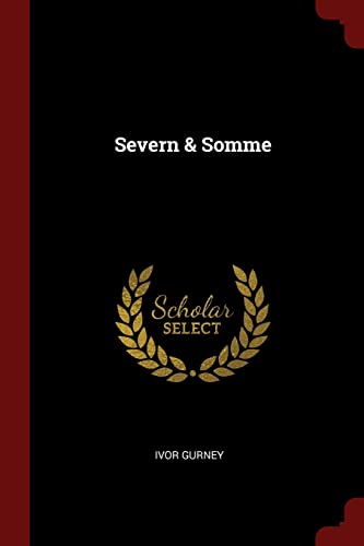 Beispielbild fr Severn & Somme zum Verkauf von Buchpark