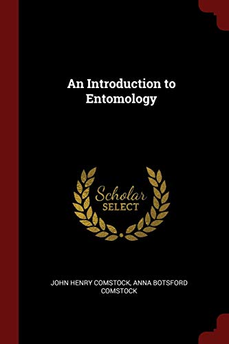 9781375437677: An Introduction to Entomology