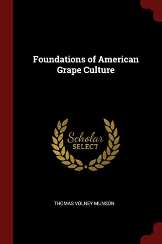 Imagen de archivo de Foundations of American Grape Culture a la venta por Big River Books