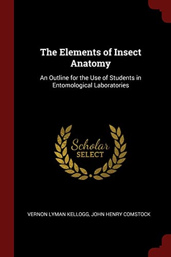 9781375726269: The Elements of Insect Anatomy: An Outline for the Use of Students in Entomological Laboratories