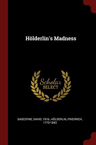 9781376336054: Hlderlin's Madness