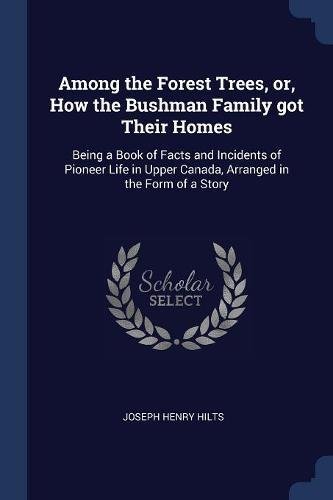 Imagen de archivo de Among the Forest Trees or How the Bushman Family got Their Homes a la venta por Books Puddle