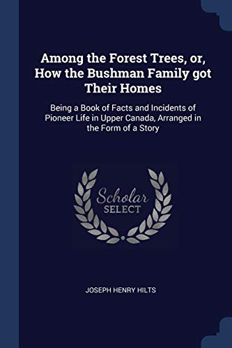 Stock image for Among the Forest Trees or How the Bushman Family got Their Homes for sale by Books Puddle