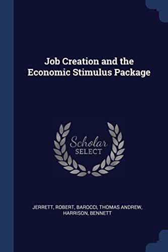 9781376994278: Job Creation and the Economic Stimulus Package