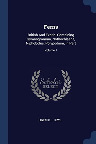 9781377082578: Ferns: British And Exotic: Containing Gymnogramma, Nothochlaena, Niphobolus, Polypodium, In Part; Volume 1