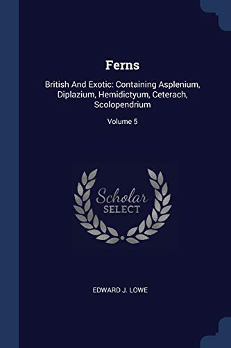 9781377087955: Ferns: British And Exotic: Containing Asplenium, Diplazium, Hemidictyum, Ceterach, Scolopendrium; Volume 5