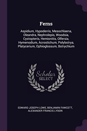 Imagen de archivo de Ferns: Aspidium, Hypoderris, Mesochlaena, Oleandra, Nephrolepis, Woodsia, Cystopteris, Hemionitis, Olfersia, Hymenodium, Acro a la venta por ThriftBooks-Dallas